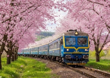 Укрзалізниця запускає Sakura train до сезону цвітіння
