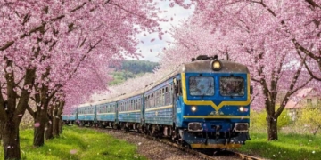 Укрзалізниця запускає Sakura train до сезону цвітіння