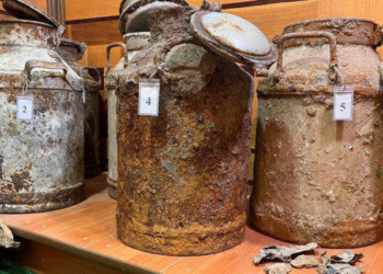 Унікальний архів ОУН відкриває таємниці Горішньої Слобідки