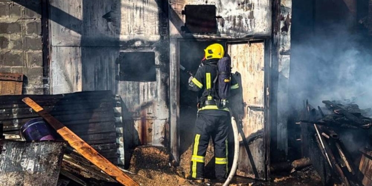 Масштабна пожежа на Тернопільщині