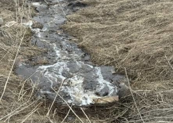 Мешканці Зборівщини повідомляють про забруднення