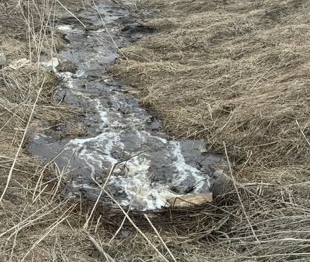 Мешканці Зборівщини повідомляють про забруднення