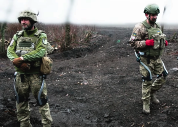 екзоскелет