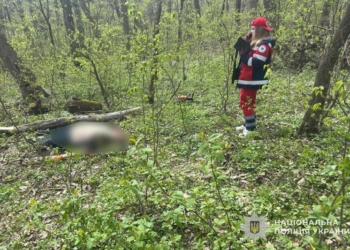 Трагедія у Петрикові: 28-річний чоловік загинув під час проведення садових робіт