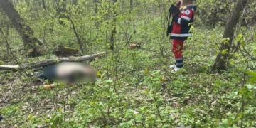 Трагедія у Петрикові: 28-річний чоловік загинув під час проведення садових робіт