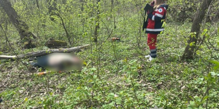 Трагедія у Петрикові: 28-річний чоловік загинув під час проведення садових робіт