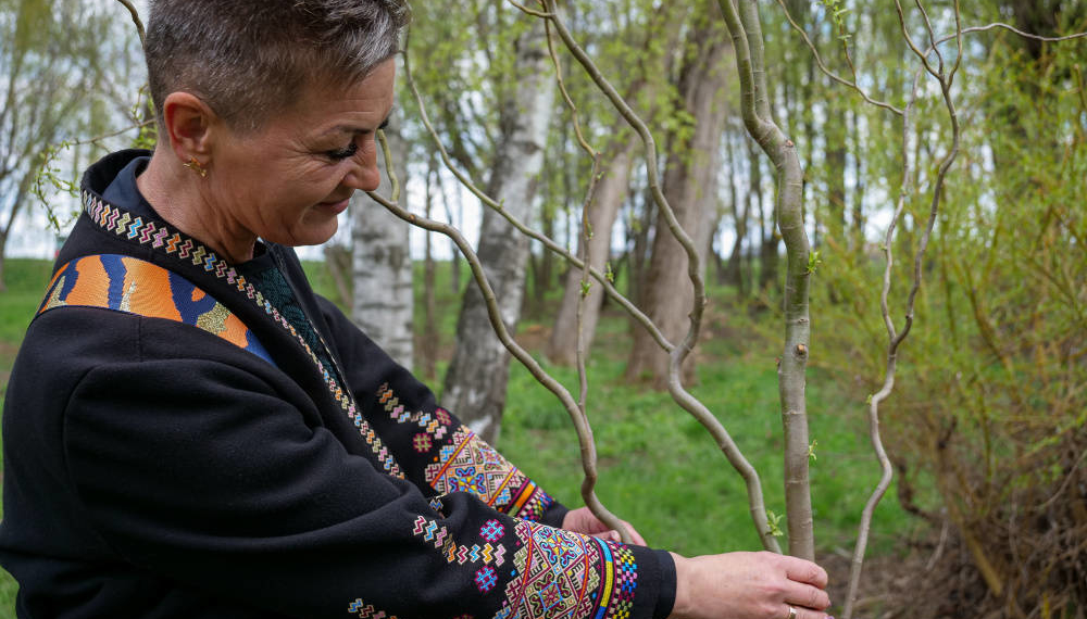 Оновлення терапевтичного саду в Тернополі: у парку Сопільче висадили екзотичні верби Матсудана