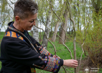Оновлення терапевтичного саду в Тернополі: у парку Сопільче висадили екзотичні верби Матсудана