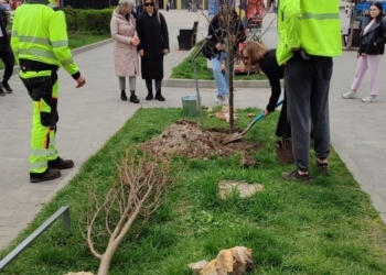 Акція «Підтримай ЗСУ — посади іменне дерево» у Тернополі: озеленення та дрони для фронту