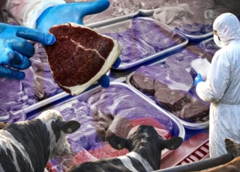 Монополізація через карантин