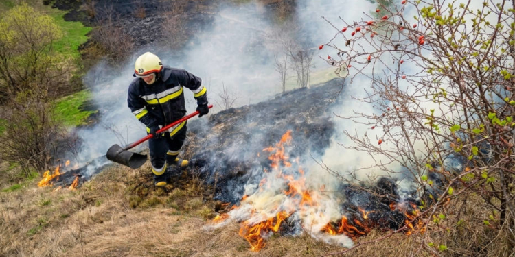 На Тернопільщині за добу вигоріло понад гектар сухої трави: ДСНС ліквідували 4 пожежі в екосистемах