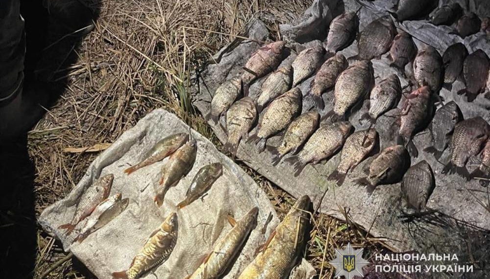 Незаконний вилов у нерестовищі: поліція задокументувала правопорушення у Вишнівецькій громаді
