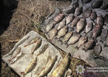 Операція «Нерест»: на Вишнівеччині затримали браконьєра, який рибалив у забороненому місці