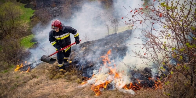 Вогняна доба на Тернопільщині: ДСНС ліквідувала 6 пожеж та врятувала трансформатор у Бережанах