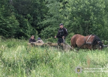 Поліцейські оперативно розшукали літнього чоловіка, який заблукав у лісі на Тернопільщині