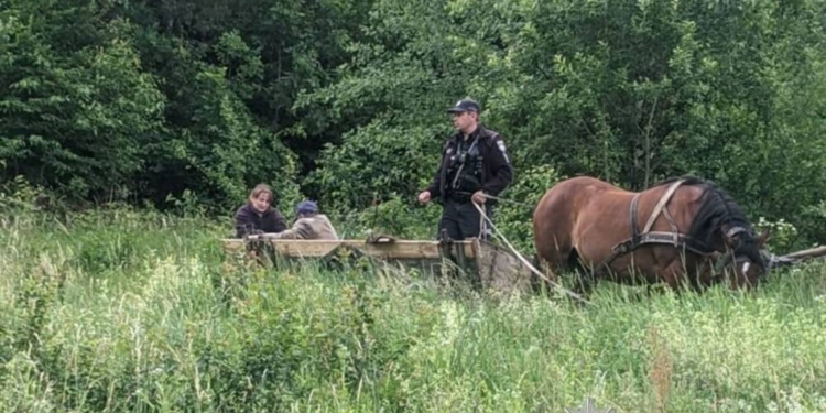 Поліцейські оперативно розшукали літнього чоловіка, який заблукав у лісі на Тернопільщині