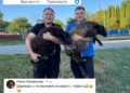 Коли цифрове поле стає полем бою: чому Олексій Філюк болісно реагує на хейтерів і як зупинити емоційне виснаження