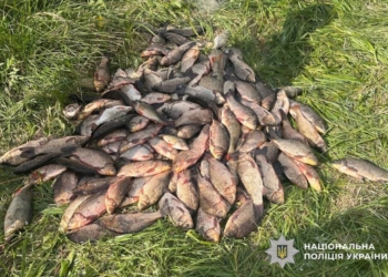 На Тернопільщині браконьєр завдав збитків на 220 тисяч