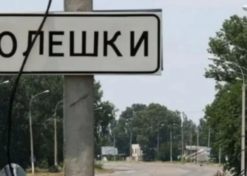 Гуманітарна катастрофа в Олешках: люди виживають на траві