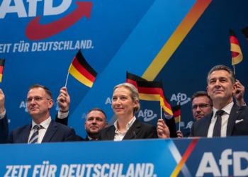 Історичний успіх AfD на виборах у Німеччині
