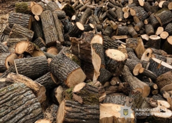 На Тернопільщині чоловік втратив 9 тисяч на купівлі дров