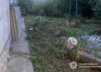 На Тернопільщині чоловік застрелив кота сусідів