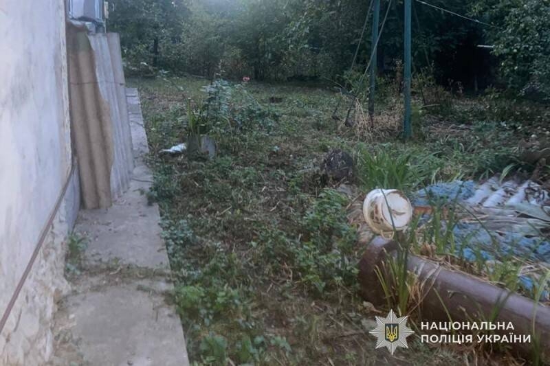 На Тернопільщині чоловік застрелив кота сусідів