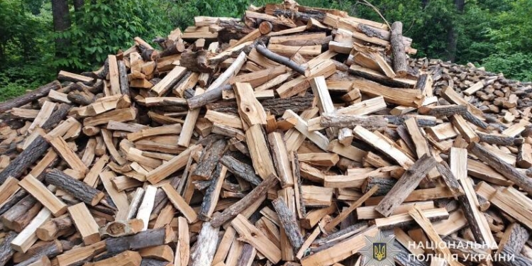 На Тернопільщині жінка втратила 15 тисяч через шахраїв