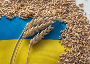 Польща та Румунія відмовили Україні у транзиті зерна