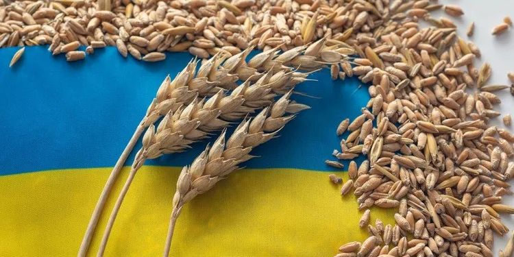 Польща та Румунія відмовили Україні у транзиті зерна