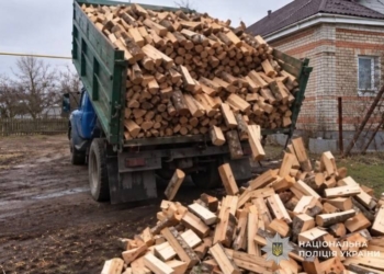 Шахрайство з дровами: житель Тернопільщини втратив 24 тисячі